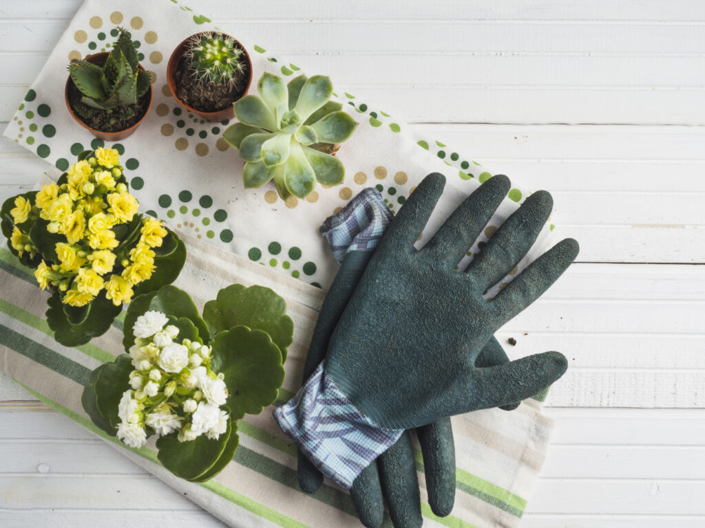 As luvas de jardinagem protegem suas mãos contra sujeira, produtos químicos, insetos e plantas afiadas ou espinhosas.