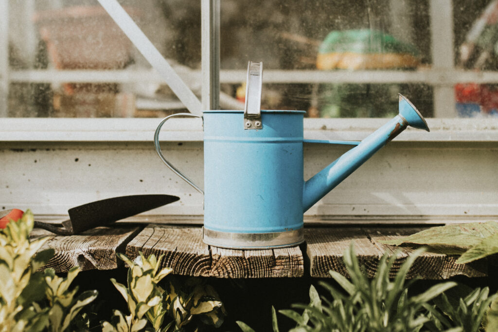 Para regar na base das plantas ou em áreas onde os pulverizadores não alcançam, um regador é ideal.