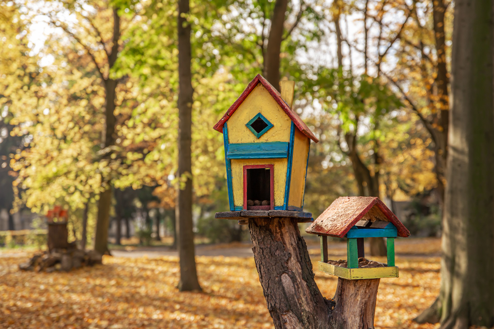 atrair passaros para o jardim externo da casa 2