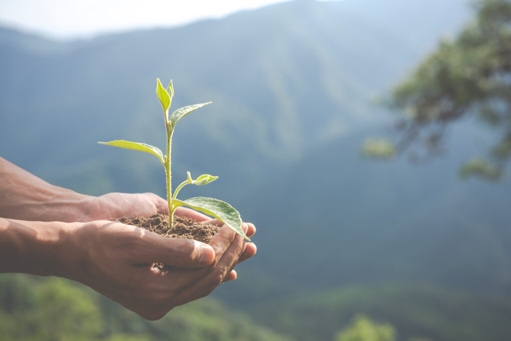 A sustentabilidade e a busca por produtos eco-friendly tornaram-se muito mais do que simples tendências passageiras.