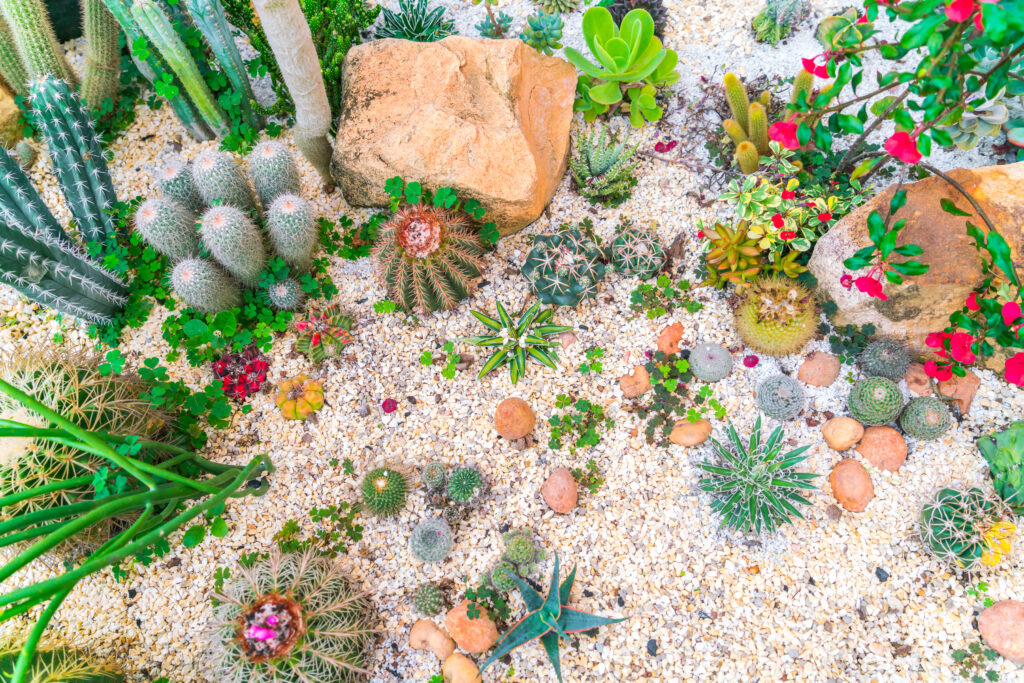 As pedras para jardim são elementos versáteis que podem elevar a estética e funcionalidade de qualquer espaço externo.